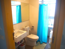 Idyllic East (D16), Apartment #164203292